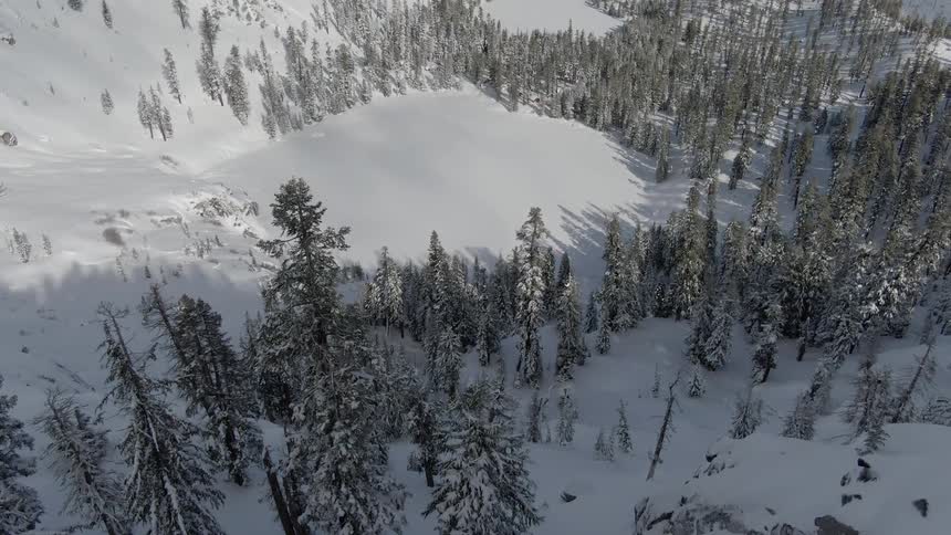 An aerial view of snow mountain and forest