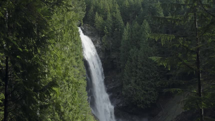 A waterfall in a forest