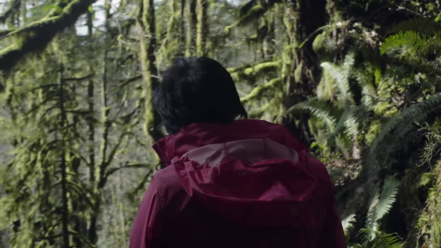 A woman is hiking through some woods on a sunny day