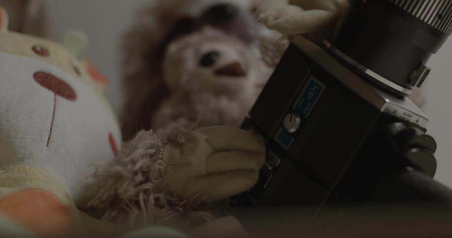 A teddy bear is holding a camera