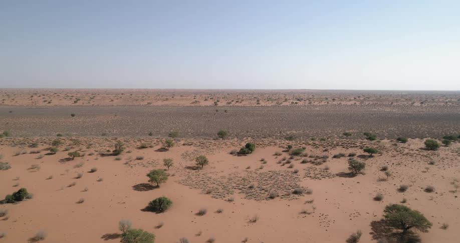 A aerial view shows a wide open desert that contains a number of trees and vegetation