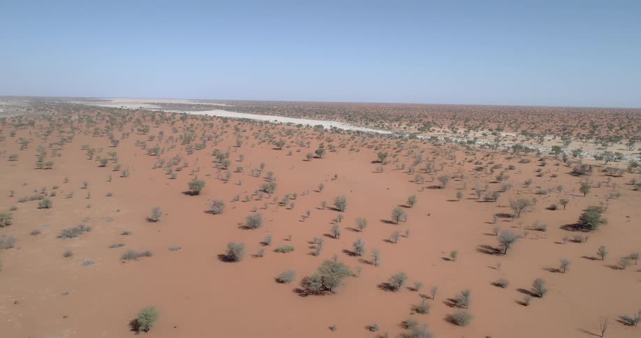 A dry desert is filled with reddish soil and scattered trees and shrubs