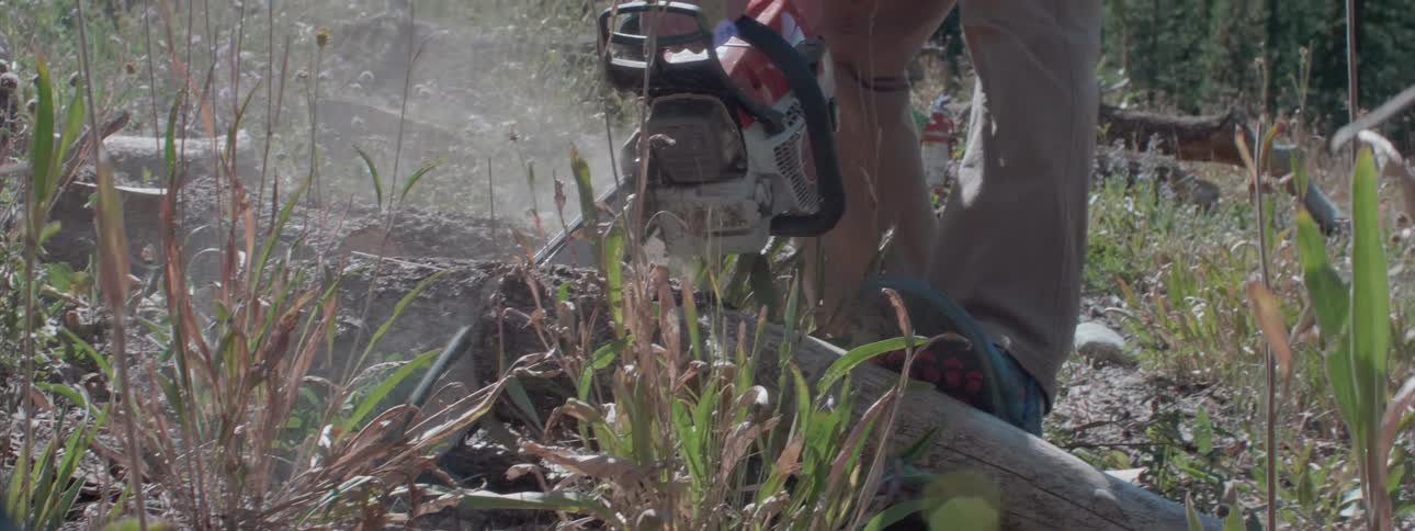 Man cuts up fallen tree with chainsaw