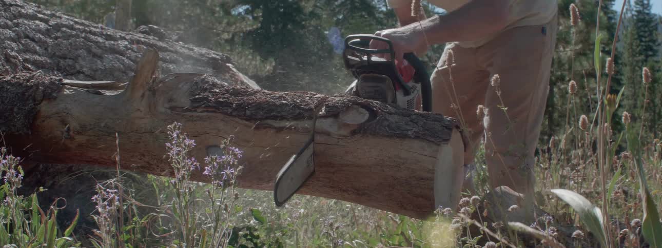 Man cuts wood with a chainsaw in the forest