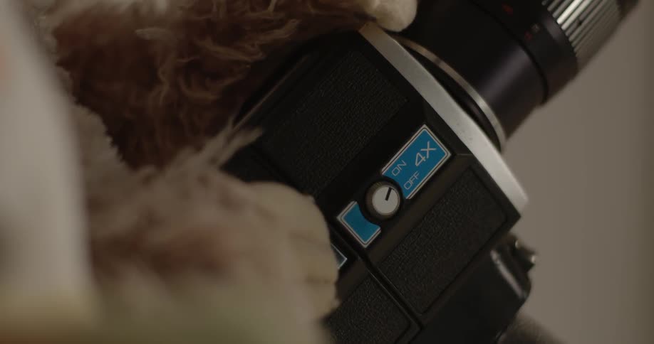 A camera rests on a teddy bear