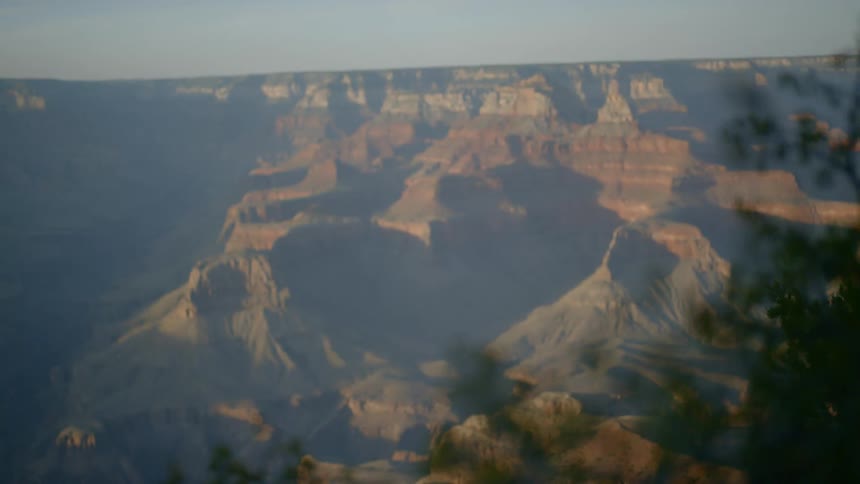 A rare green bush in an arid rocky landscape