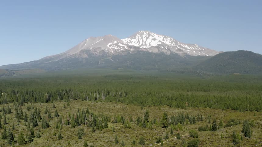A sparsely forested area lies before a densely forested area at the foot of a mountain