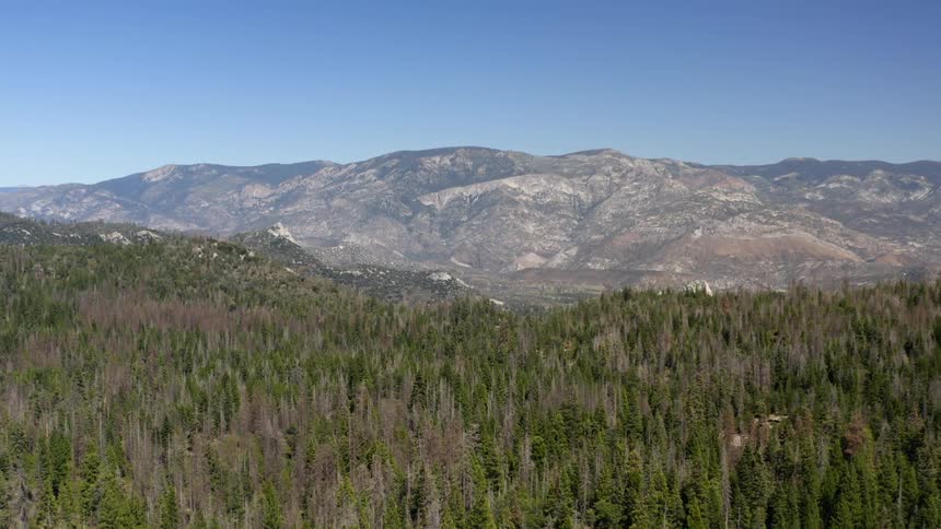 A large mountain range sits beyond a forest