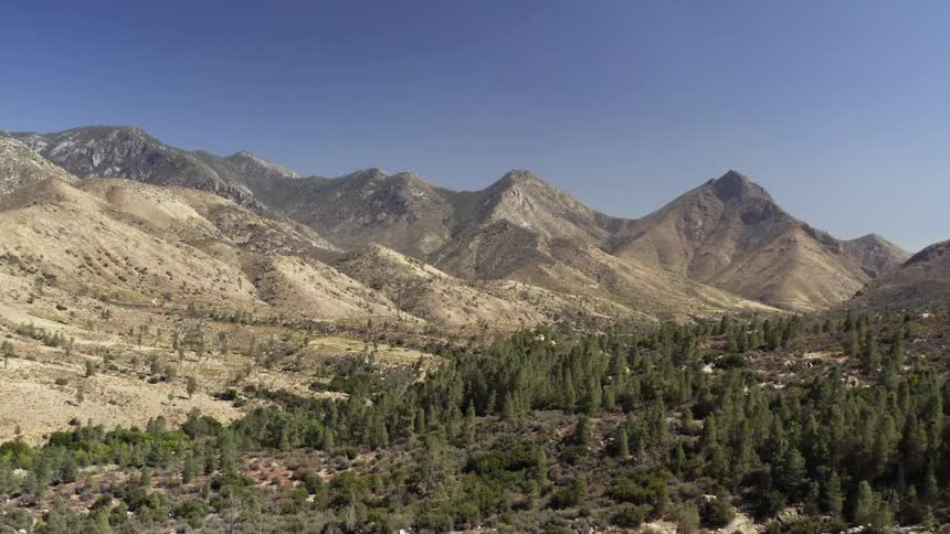 A forest with mountains and the sky in the background