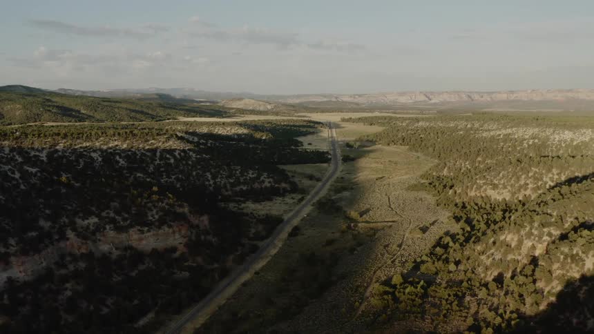 Landscape view of a road through the grasslands
