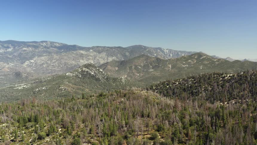 A hilly landscape covered in forest in front of low mountains