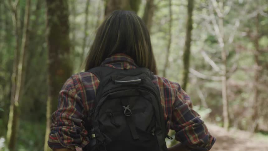 A woman in a plaid shirt is hiking in the woods