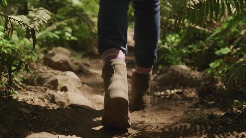 A person walking down a forest path