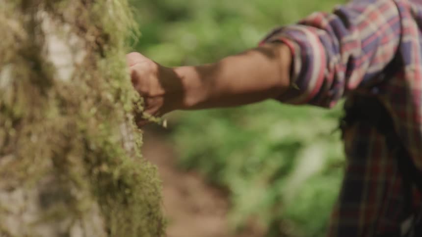 A man rubbing his hand on a tree