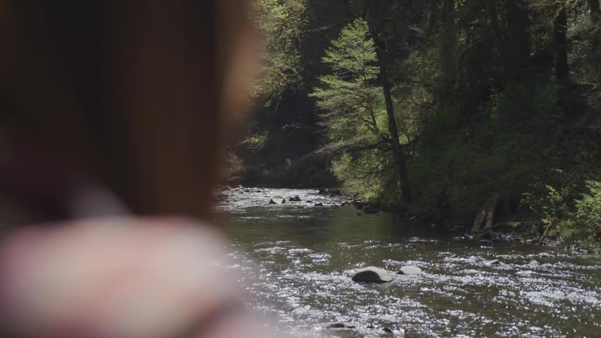 A person watching a river surrounded by forest