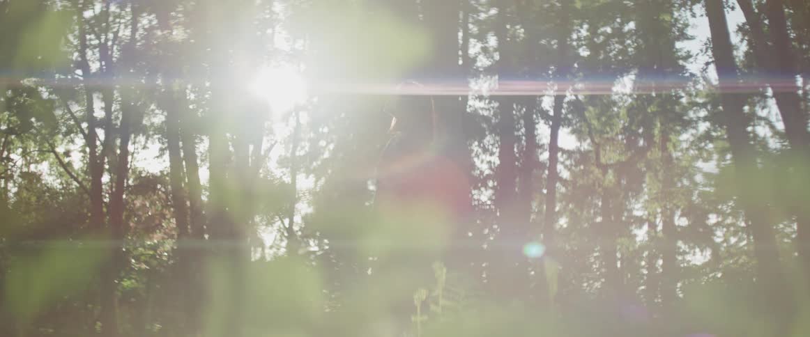 Silhouette of woman standing in the woods at sunrise