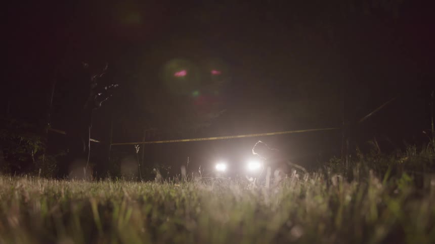 A young woman takes pictures at a crime scene while another person examines a body