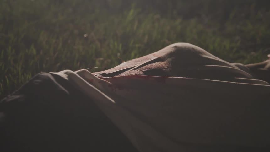 A woman laying in the grass