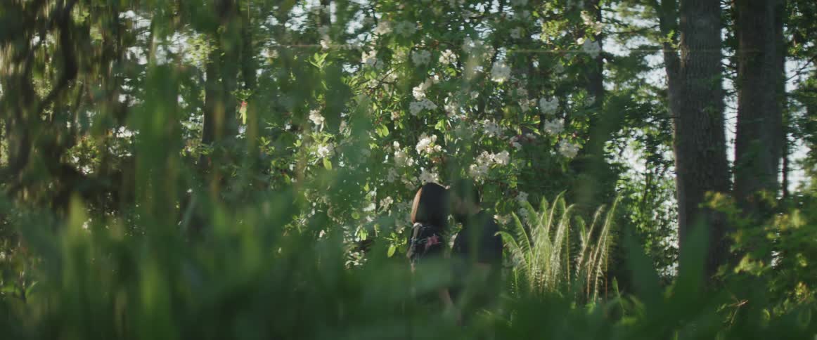 Man and woman hold each other while the sun shines through the trees in the forest