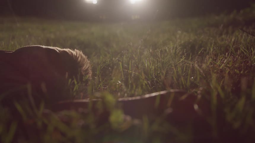 A person lies in the grass with bright headlights shining on them