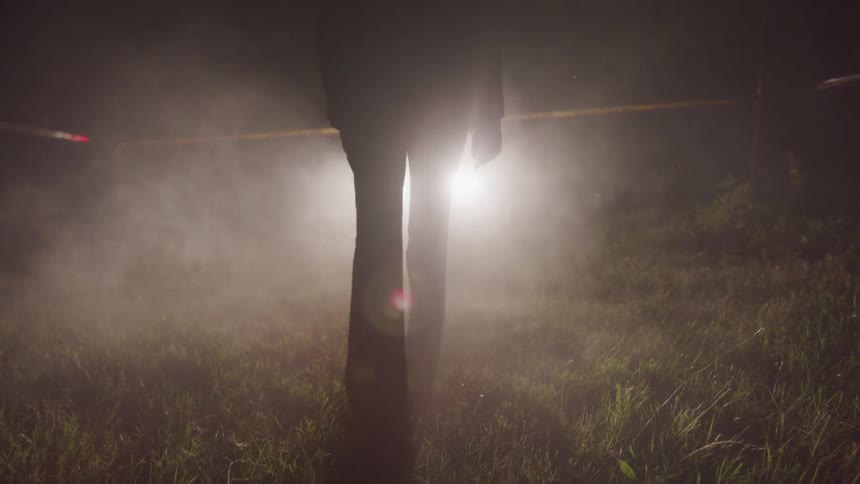 A person is walking in the tall grass at night