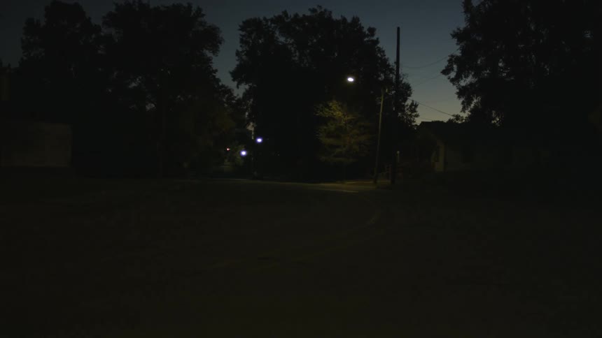 View of a street and trees as a light flashes