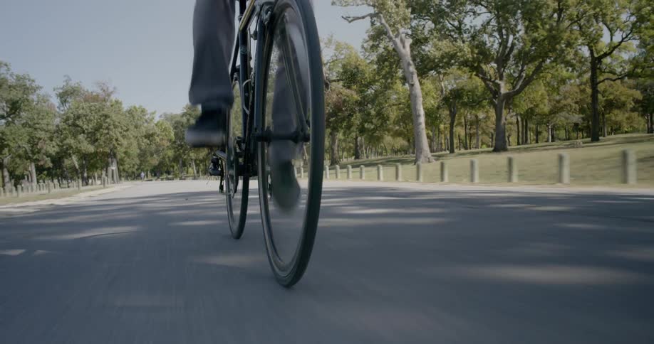 A person rides a bicycle down an empty road with trees nearby
