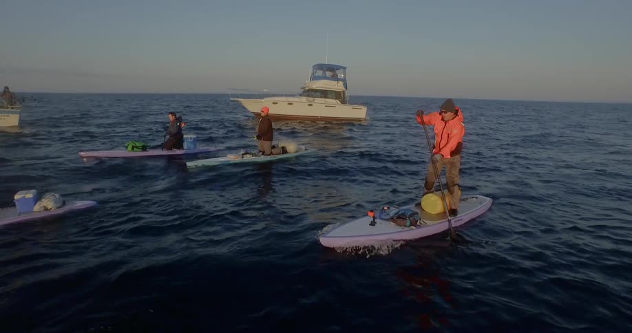 People row surfboards near a boat in the ocean