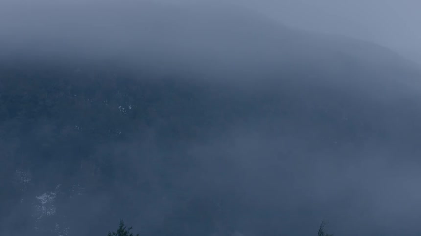 Birds eye view of fog over a forest