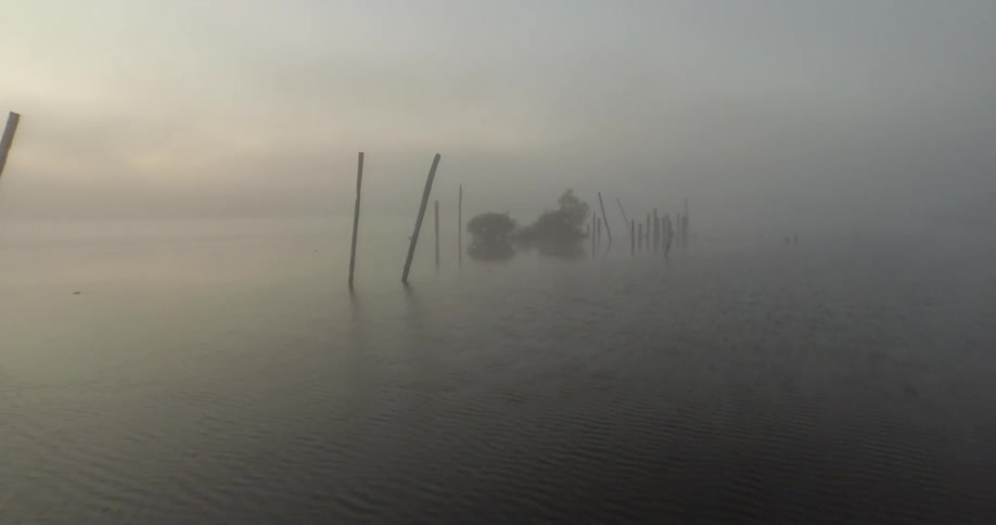 Fog over a lake