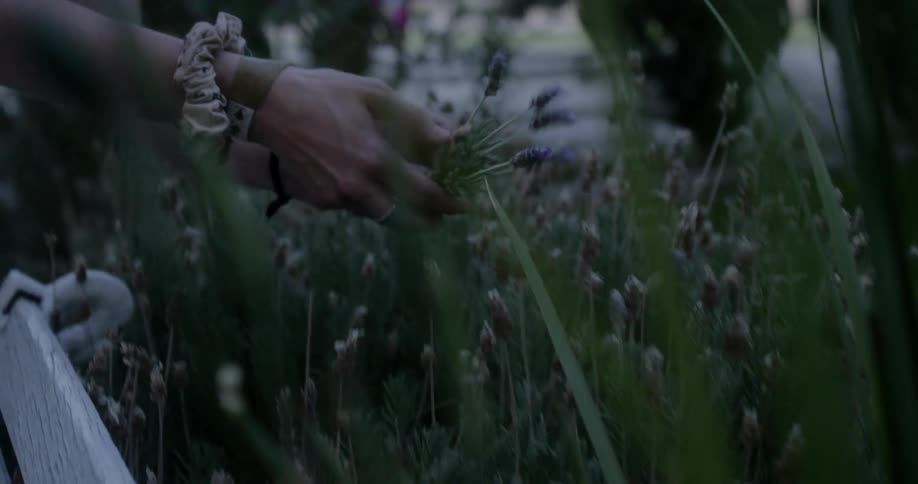 A woman wearing a bracelet picks flowers at dusk
