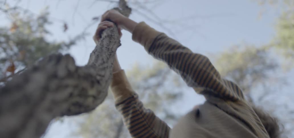 A child is pulling on a tree