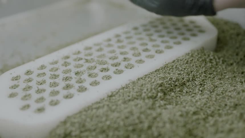 Man using gloves fills mold with herbs