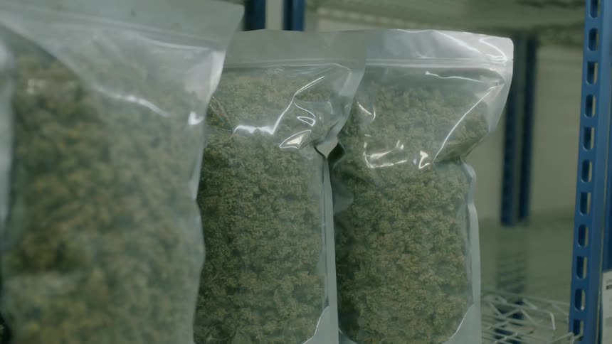 Three bags of a green herb sit on a shelf