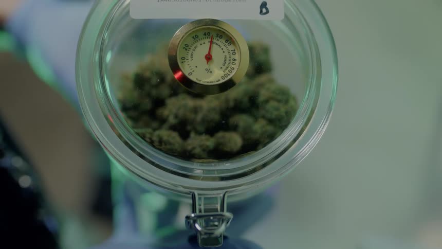 Something is being weighed on a scale