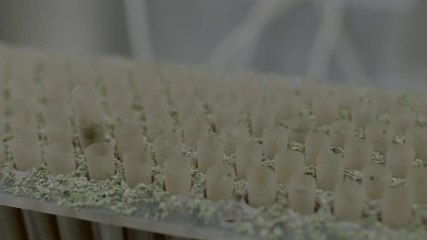 Tubes moving up and down in a lab