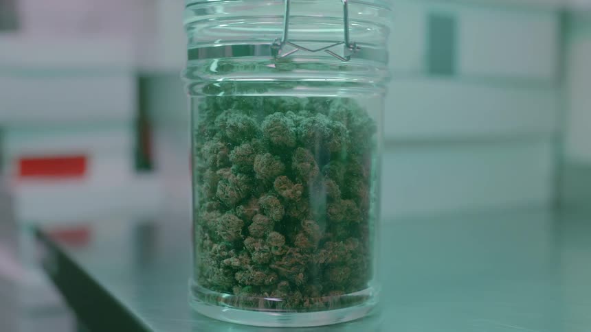 Medical marijuana buds in a glass canister on a stainless steel counter