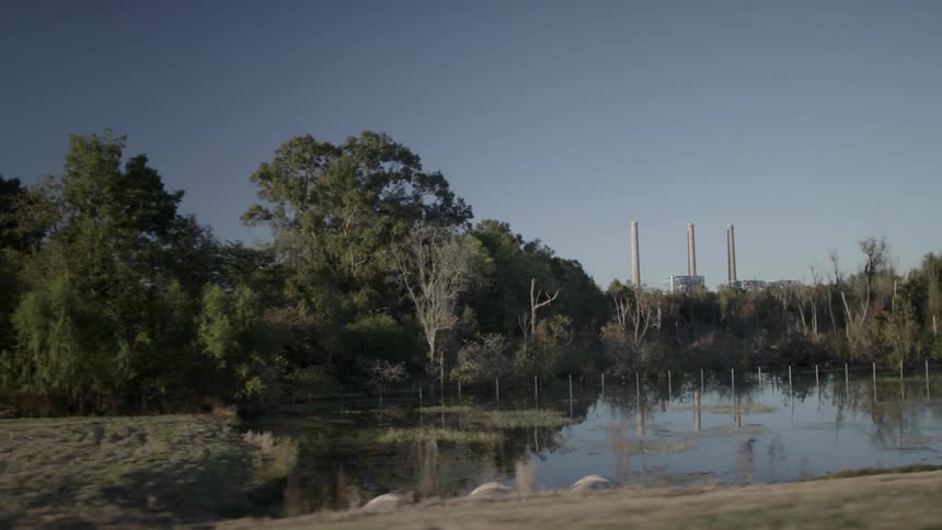Passing a river surrounded by trees