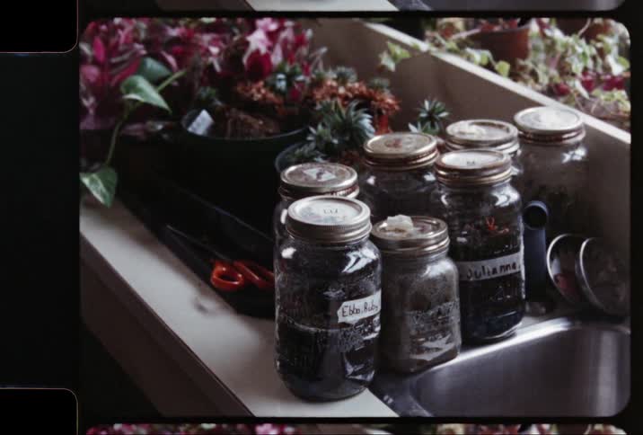 Film footage of jars of dirt and flowers sitting on a counter