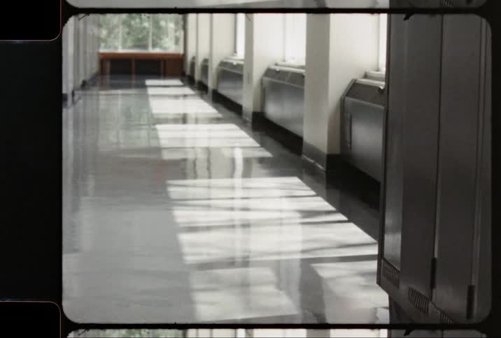 Trees cast shadow through window onto corridor floor