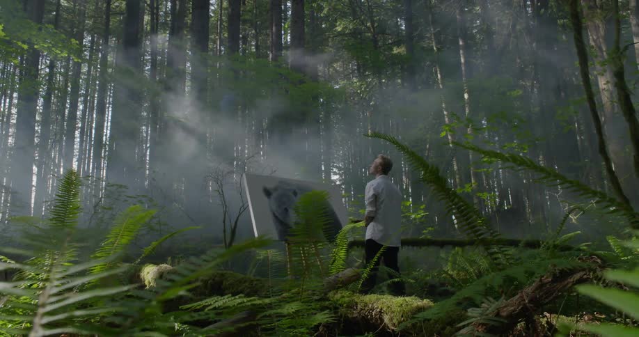 Person standing in front of bear portrait in the middle of a jungle