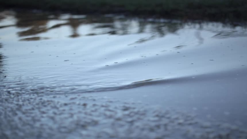 A pond ripples next to grass