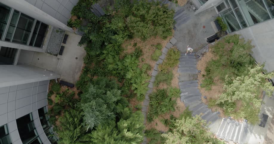 Woman climbs the steps near the greenery next to a tall building