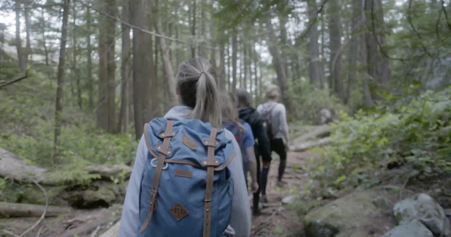 Group of women hike along trail through forest