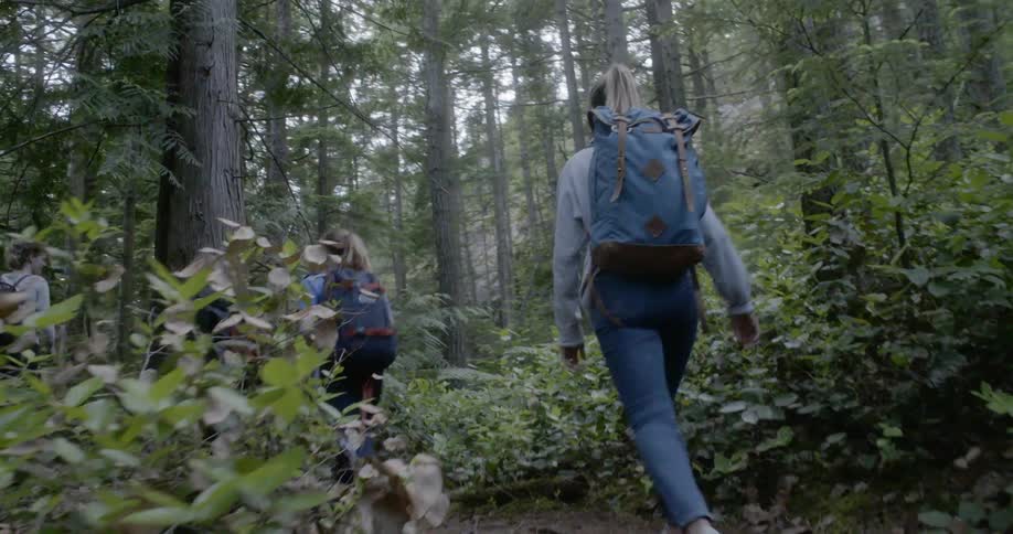 Teenagers follow a trail as they hike through a forest