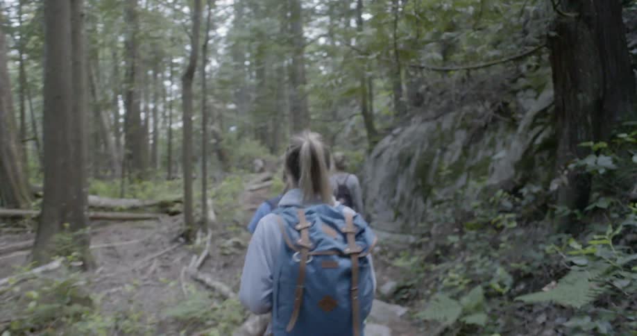 A group of people are hiking through a wooded area