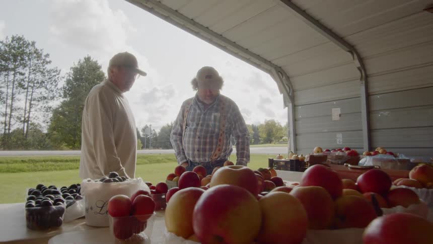Two men stand and look at the fruit at a stand