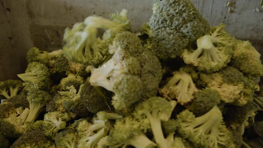 Broccoli falling into a metal container
