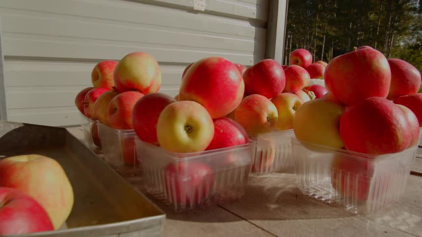 Baskets of apples sit on a table