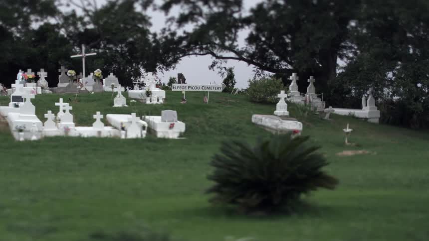 Driving past a cemetery under some trees